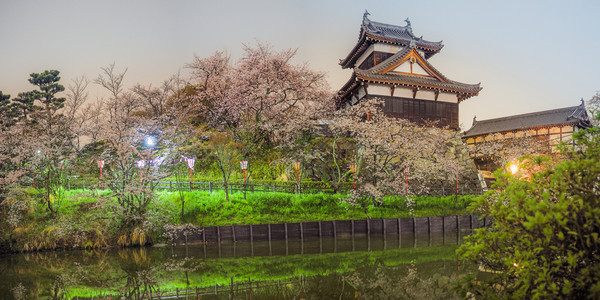 科里山城堡全景拍摄纳拉有樱花著名的日本人绽放图片