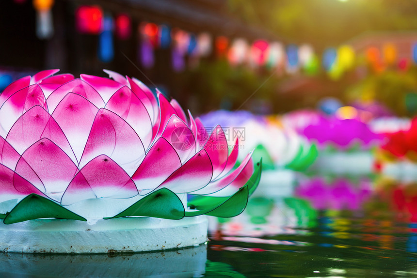 水面上漂浮着泡沫制成的花朵用于LoyKratong节或泰国新年和河流女神礼拜仪式12月满是泰国著名的节日宗教粉色的旅游图片