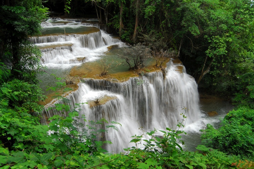 生长泰国北碧府KhueanSrinagarindra公园的HuayMaeKamin瀑布木头受到推崇的图片