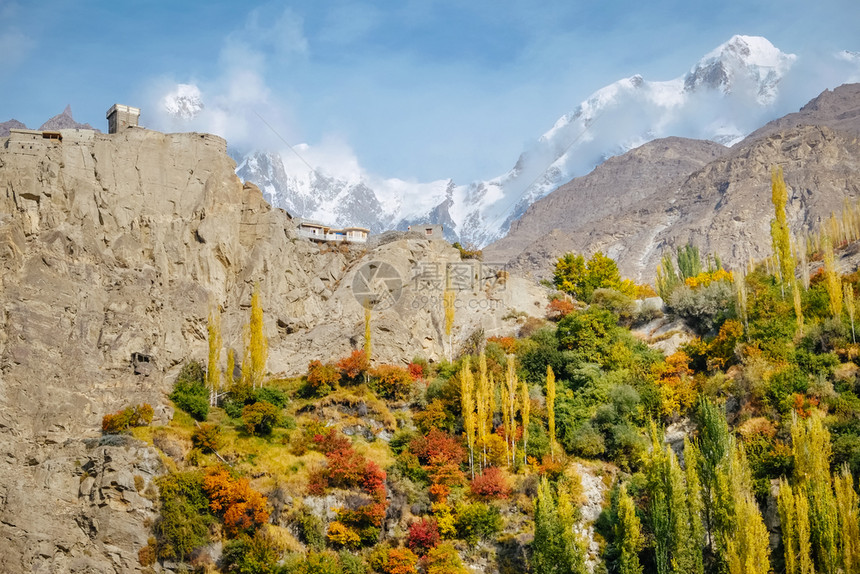 风景顶峰巴基斯坦Karakoram山脉GilgitBaltistan的雪冠UltarSar山峰对顶上Altit堡的秋季Hunza图片
