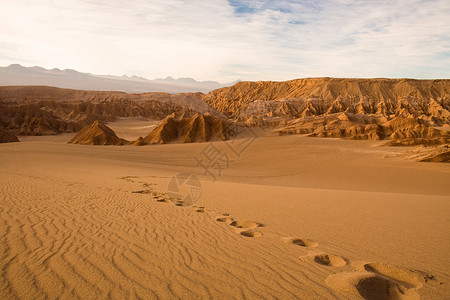 戈弗拉山圣佩德罗阿塔卡马沙漠智利安托法加斯塔地区智利南美洲的洛斯弗拉门科保留地天桑背景
