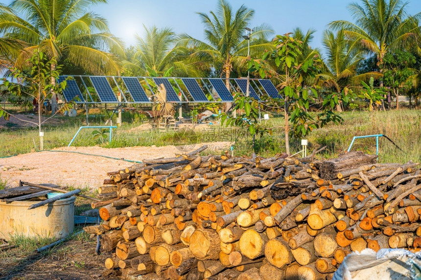 屋乡村的可持续农业田泰国村风格的林工业智能场替代方案业田以家庭为主的农用作物图片