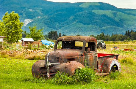 名册北汽车怀旧的在美国华盛顿一个草地的旧式小货车在华盛顿一个草地的老式小卡车背景