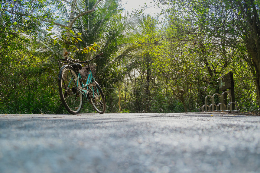 爱好斯里兰卡夏季在热带森林中被灌红绿叶包围的空路上骑自行车停的低角度视图公园图片