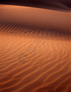 金子塔尔冷静的日落时沙丘微细有光和阴影图片