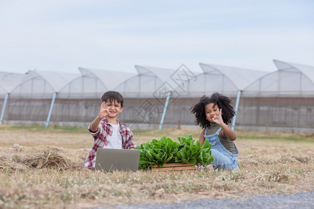 用互联网种植蔬菜的儿童图片
