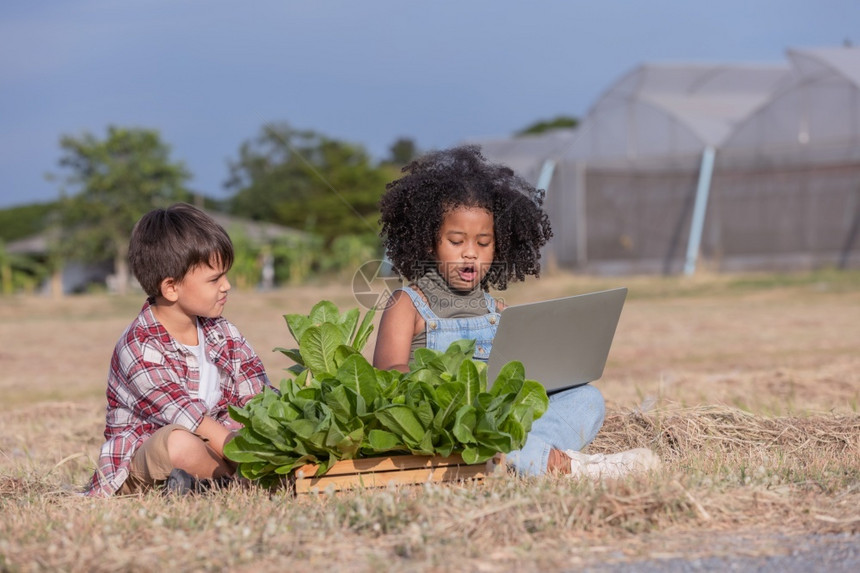 使用互联网种植蔬菜的儿童图片