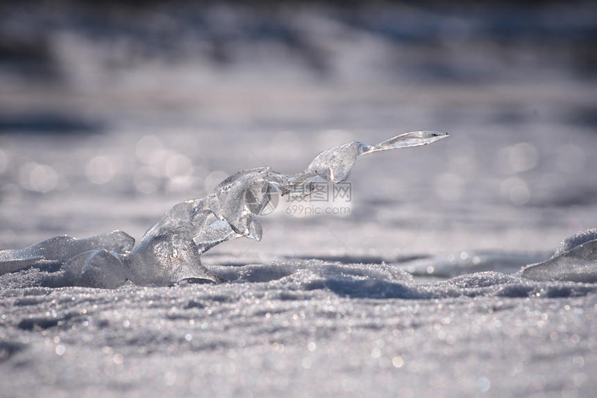 自然的Whhimsofnature关闭了拉脱维亚里加州曼尔萨拉海滩上半透明冰层的结晶三月初以浅度DOF拍摄的横向照片场地温度极图片