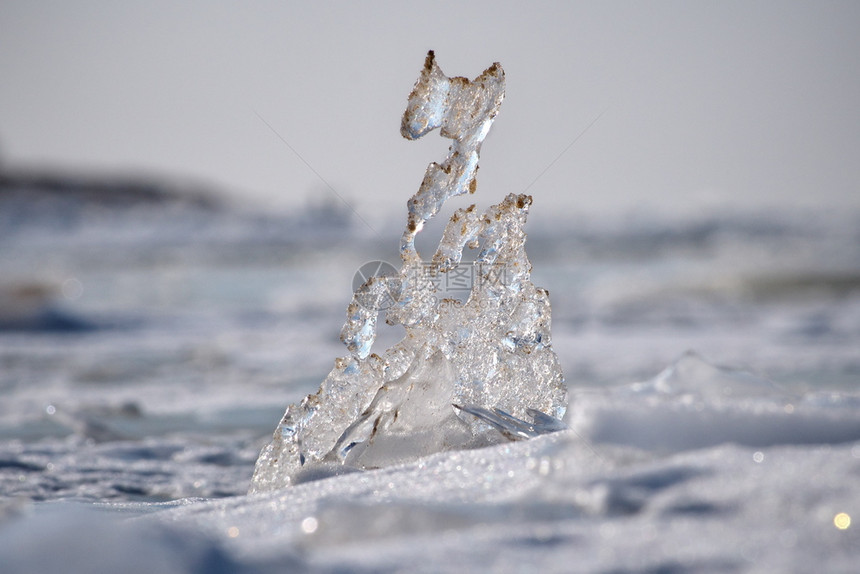 行进细节自然的Whhimsofnature关闭在拉脱维亚里加州曼尔萨拉海滩上被沙子覆盖的半透明冰层三月初水平摄影图像以浅的DOF图片