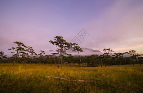 在山风景的日出场神秘美丽的背景图片