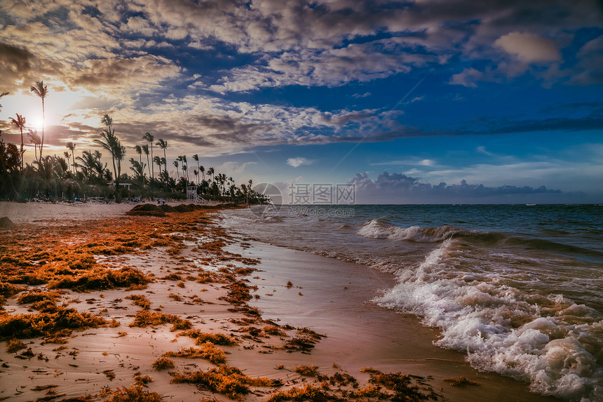 在PuntaCana海滩上有坐椅雨伞和棕榈花的夕阳在海洋热带岛屿上的海滩阳光日落令人惊叹的黄昏光照耀着太阳海中一个热带岛屿上不可图片