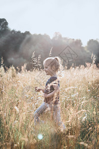 高的天快乐小女孩走过乡下高草地坎迪德人真实的时刻情况在真正的瞬间娱乐图片