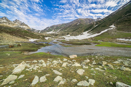 太阳山中河流寒冷的池塘高清图片