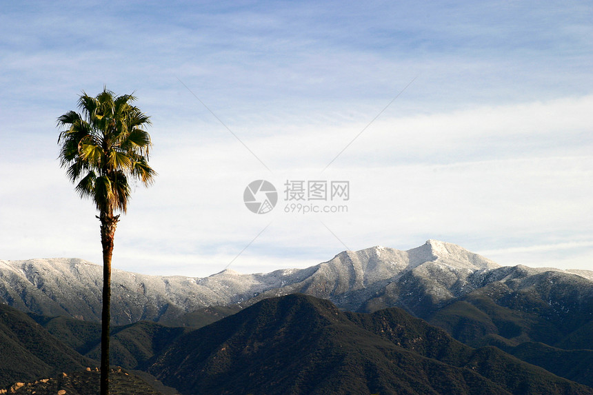 南加利福尼亚州南部雪(4315)图片