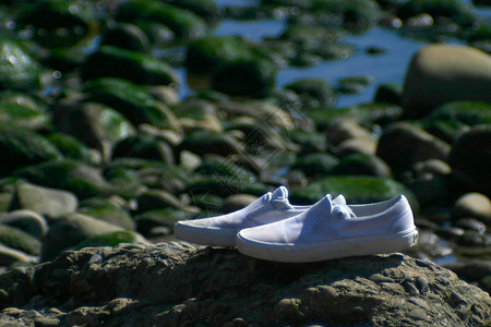 独自一人离开运动衣服棕色海岸海岸线支撑白色鞋类高清图片