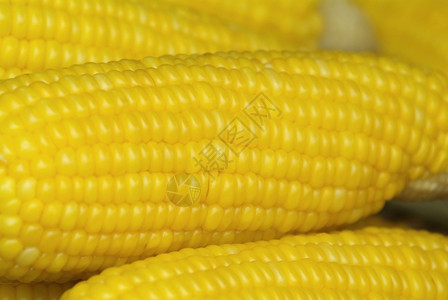科博抽象的玉米背景图片