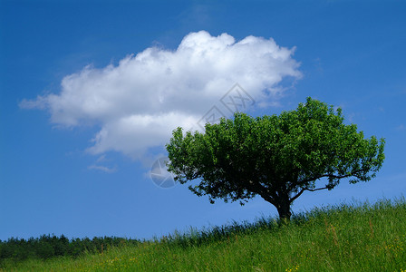 沃尔克拜伊姆·希梅利背景