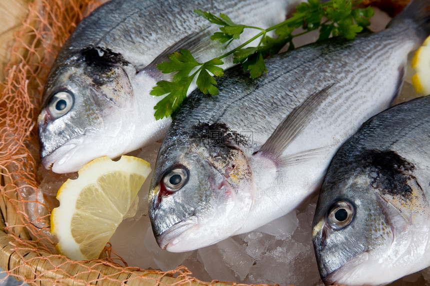 新鲜鱼海鲜厨房沙拉美食专业海洋市场食物小吃美味图片