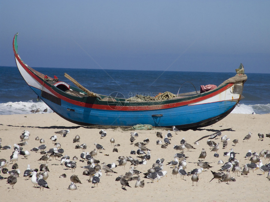 沙滩上的渔民船天空海鸥血管木船海洋钓鱼海滩海景图片