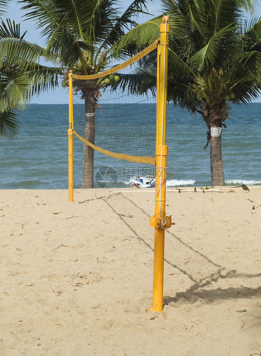 海滩上的排球网运动黄色闲暇截击棕榈椰子图片