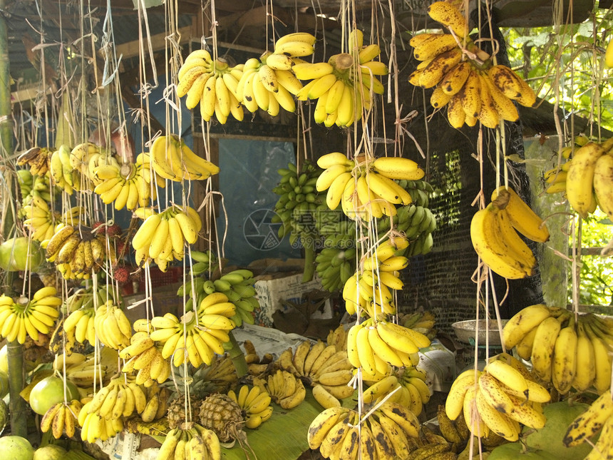 香蕉店图片