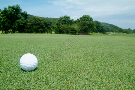 绿色高尔夫球课程游戏小鸟白色圆圈运动推杆背景图片