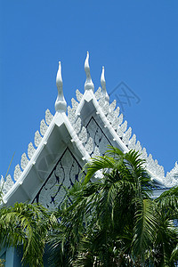 泰国的白佛寺庙棕榈宗教佛教徒蓝色高清图片