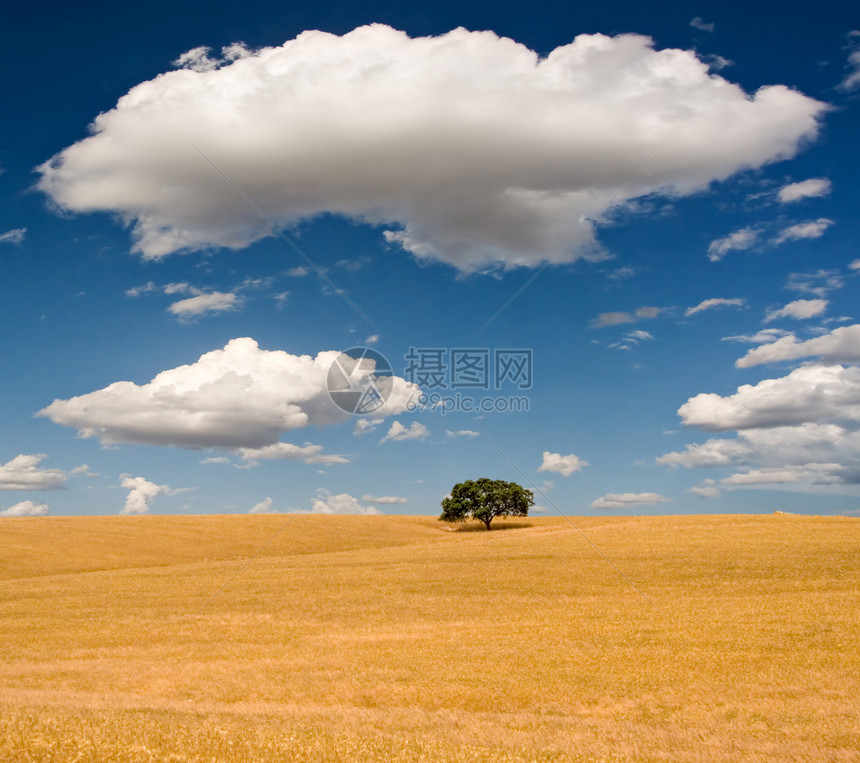夏季场景农田农场公园国家天空季节植物群蓝色场地风景图片