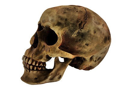 人类头骨颅骨衰变白色死亡牙齿背景图片