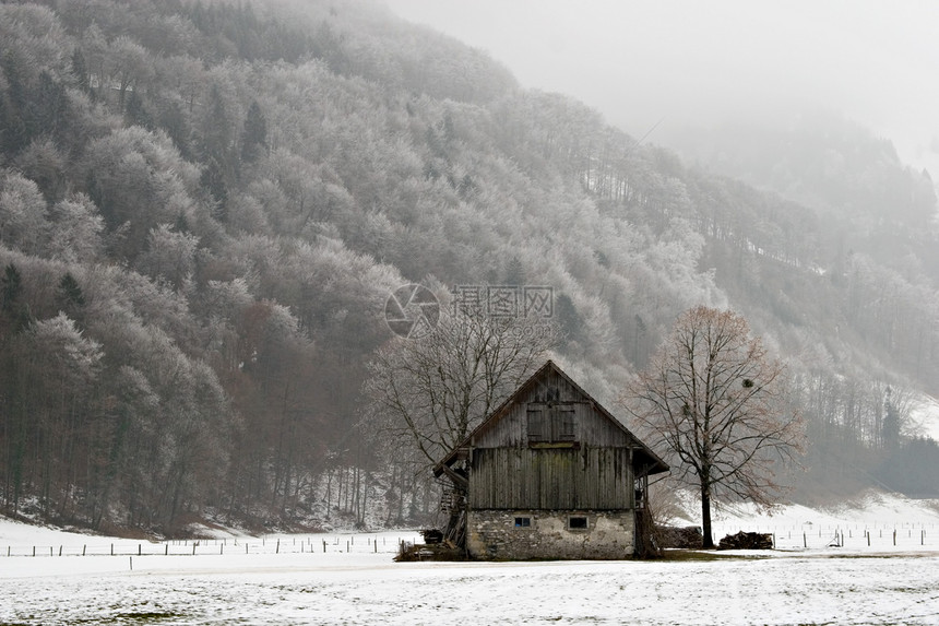 旧谷仓薄雾场地建筑暴风雪树木天气风景房子雪景庇护所图片