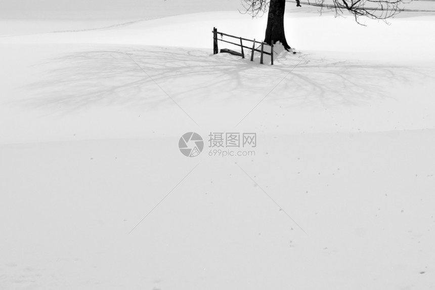 阴影风景分支机构投掷场地季节精神黑色季节性白色树干图片