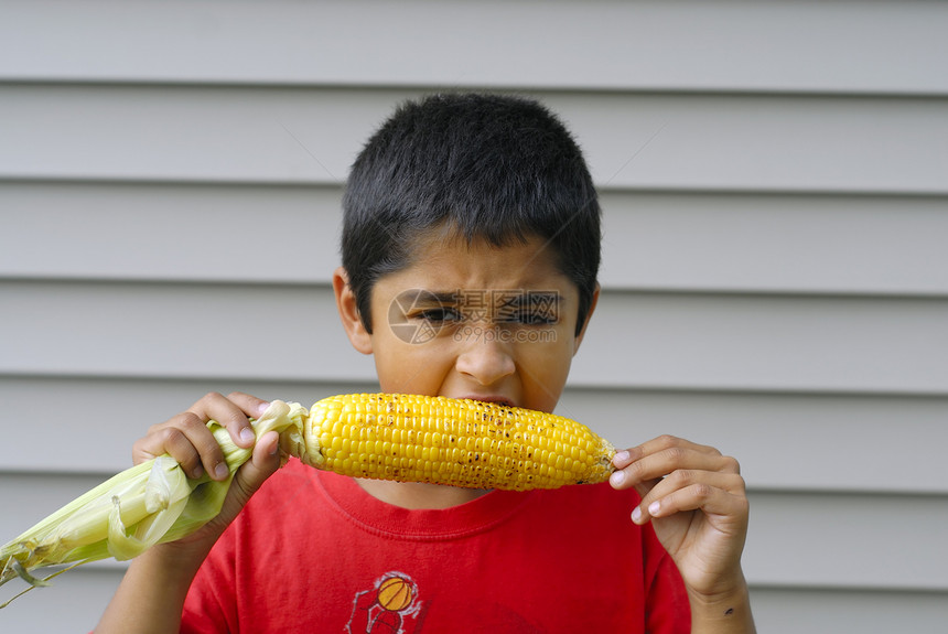 吃玉米蔬菜水果小吃棒子花园活力粮食谷物饮食农业图片