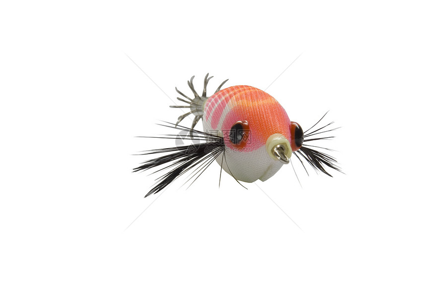 饵磷光垂钓者鱼钩齿轮爱好鱿鱼荧光模仿乌贼娱乐图片
