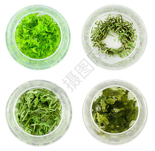 四碗绿茶保健文化仪式绿色液体温泉杯子艺术树叶卫生背景图片