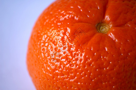 普通普通中文食物水果橙子背景图片