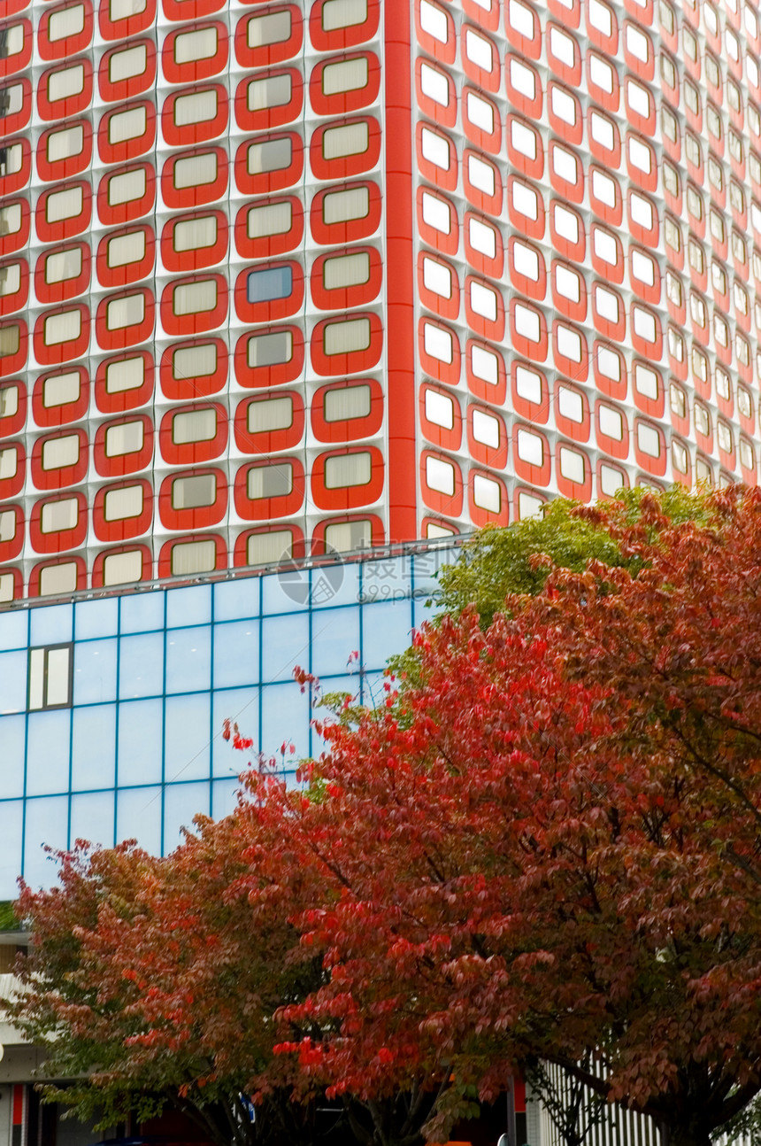 红楼装饰品树叶城市建筑商业红色市中心摩天大楼季节植物图片
