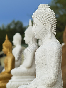 白佛形象寺庙佛教徒雕塑宗教白色背景图片