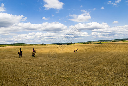 三个骑兵活动运动麦茬地骑术平原哺乳动物女孩们动物场地女性背景图片
