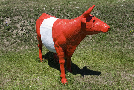 红牛红色草地材料动物乐趣白色家畜农场塑料哺乳动物背景图片