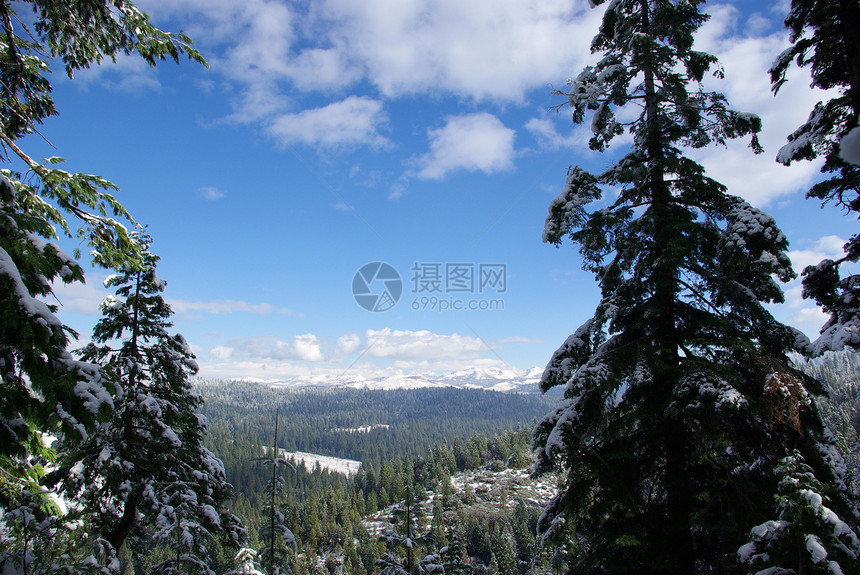 高高山森林山脉天空松树树木图片