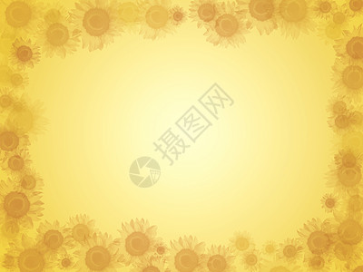 黄色花朵框架向日葵背景植物群植物晴天花朵黄色花瓣框架背景