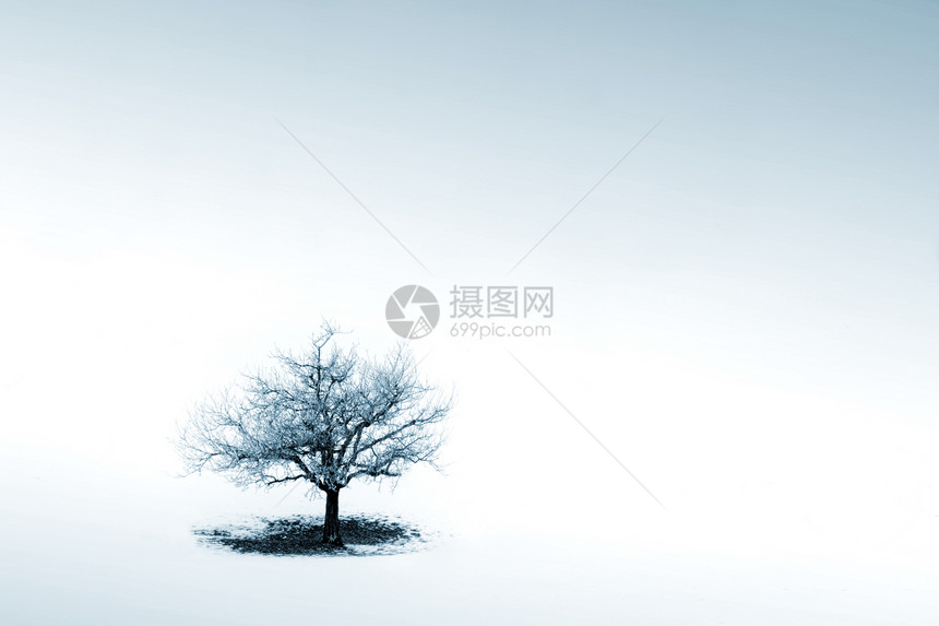 孤独分支机构土地寂寞场地季节单人蓝色天空雪景牧场图片