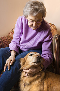 成熟的女人宠爱狗背景图片