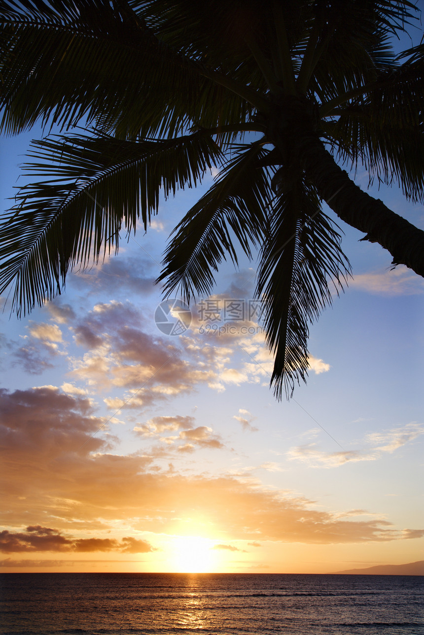 毛伊岛的海洋日落图片