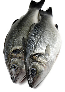HER2蛋白质2个海低音饮食营养鲈鱼灰色眼睛食物斑点海洋背景