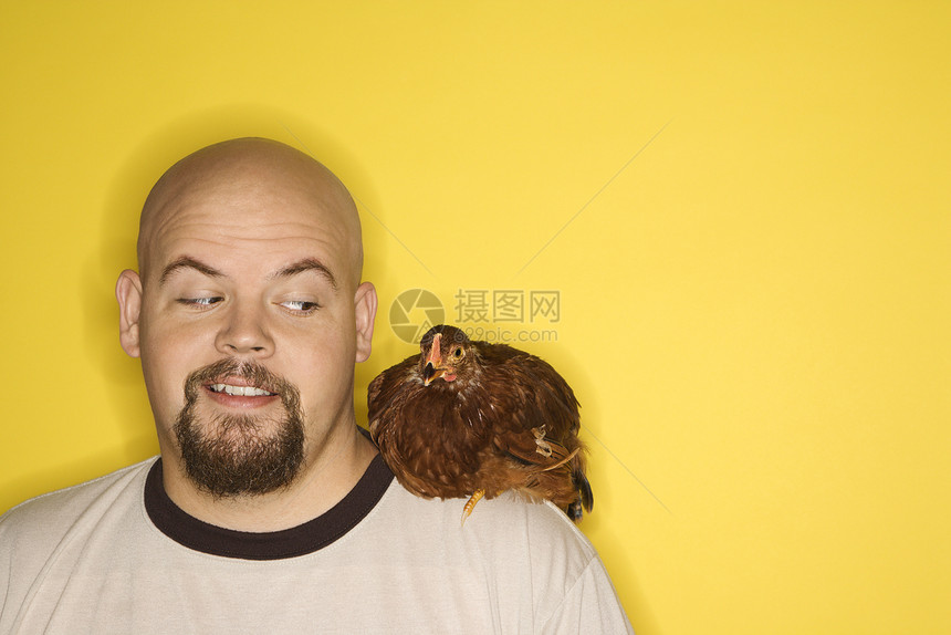 男人看着肩上的鸡肉图片