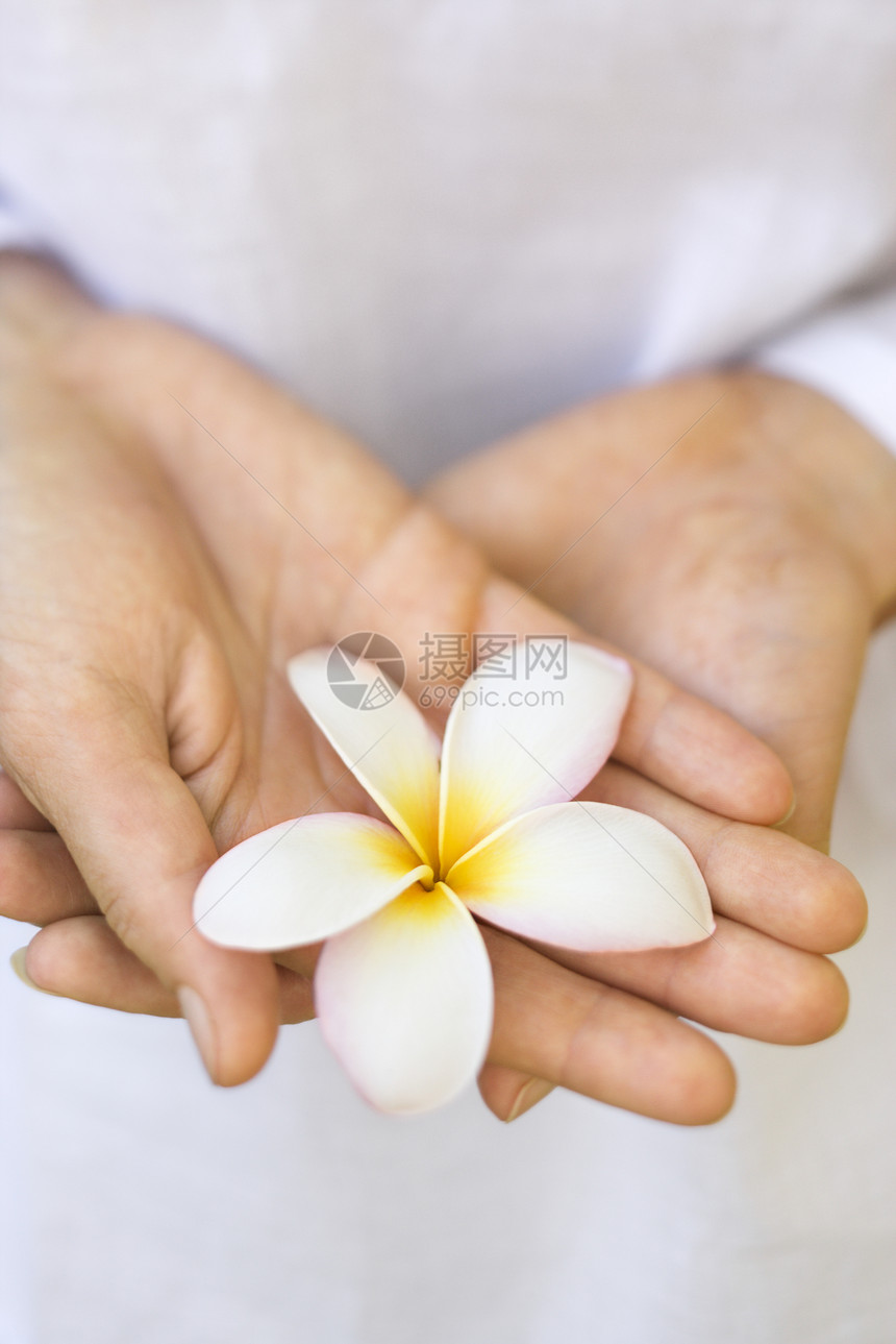 握着花朵的女人的手图片