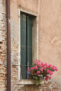 有花的窗口窗户快门天竺葵花箱建筑学建筑百叶窗粉色照片背景图片