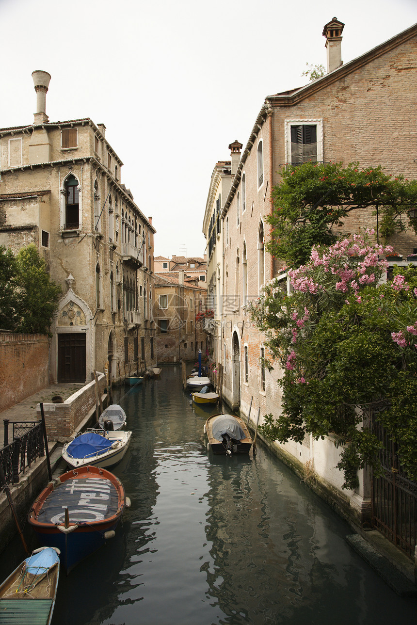 威尼斯 意大利运河汽艇照片建筑旅行假期建筑学运河图片