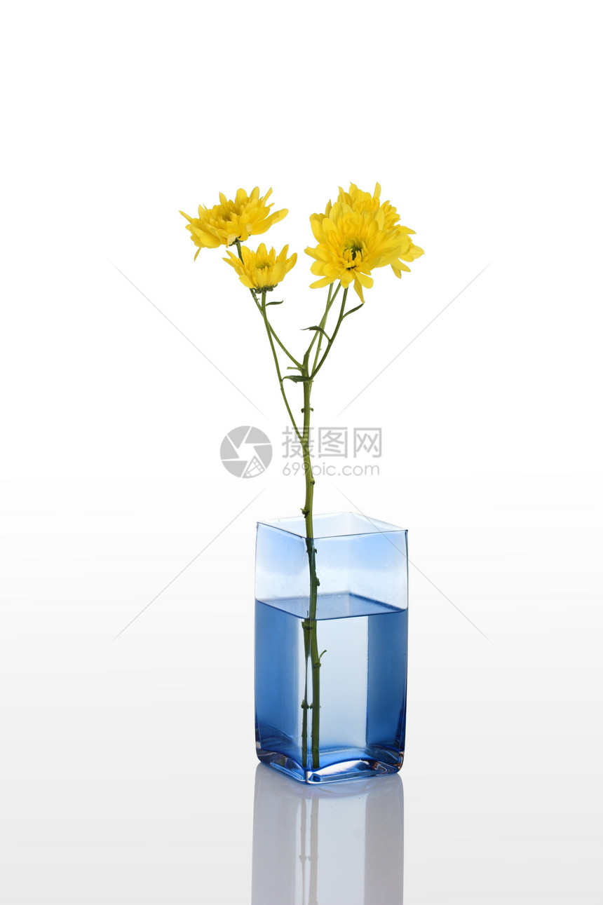 叶花快乐生长活力生活繁荣植物群花束风格静物花瓶图片